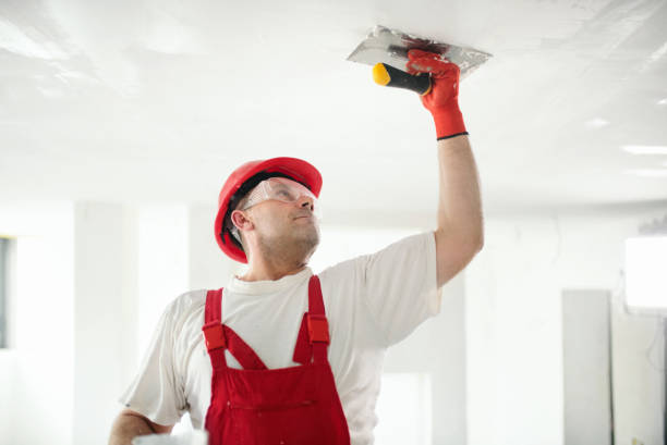 Wallpaper Removal and Painting in Clintonville, WI